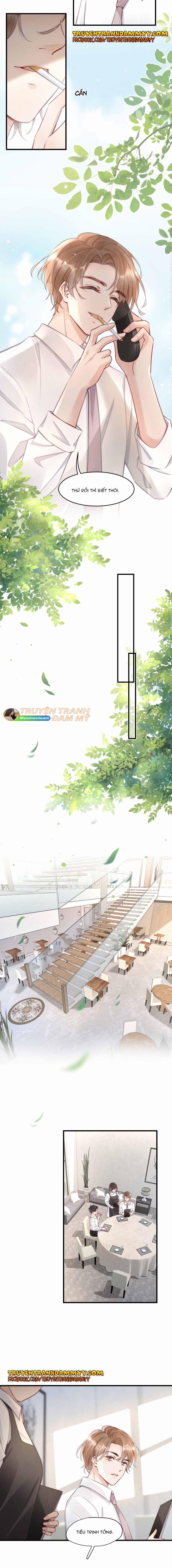 Cầu Vòng Hổ Phách 5 trang 5