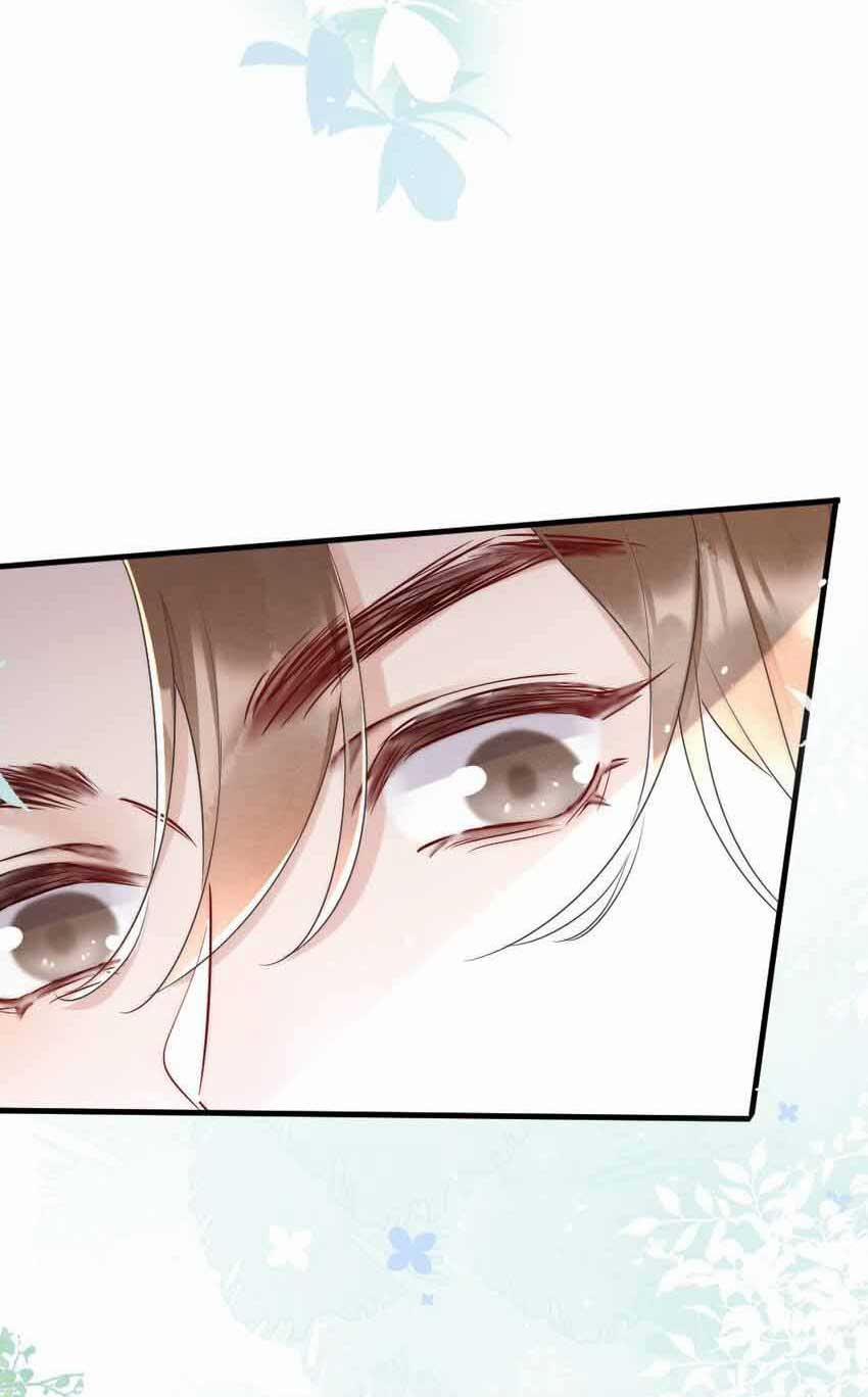 Cầu Vòng Hổ Phách 7 trang 13