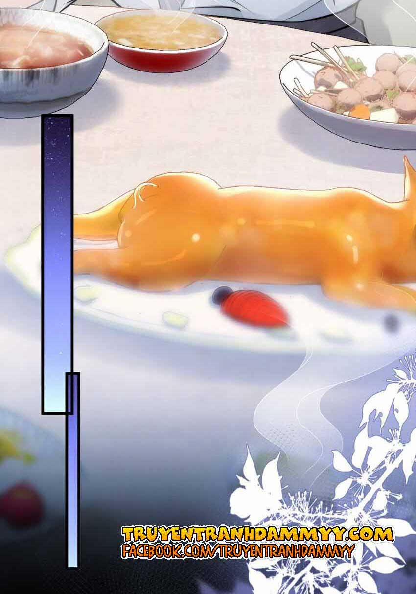 Cầu Vòng Hổ Phách 8 trang 34