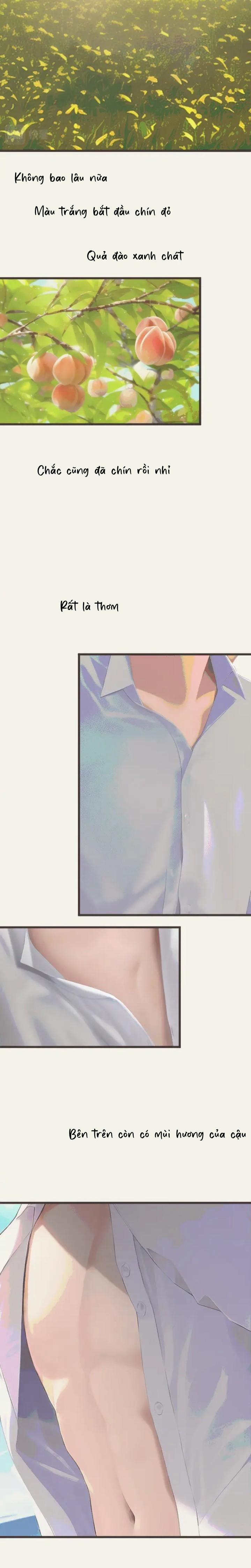 Cầu Vồng Trên Đồng Cỏ 1 trang 1