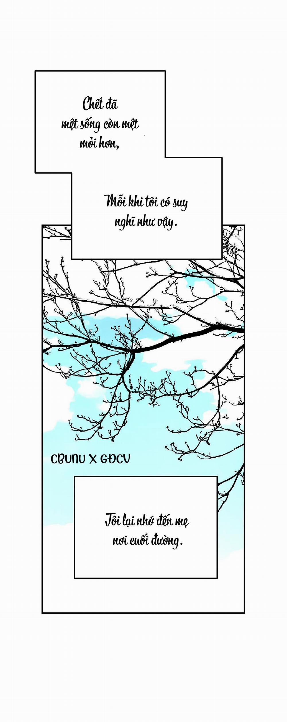 Cây Không Có Rễ 25 trang 5