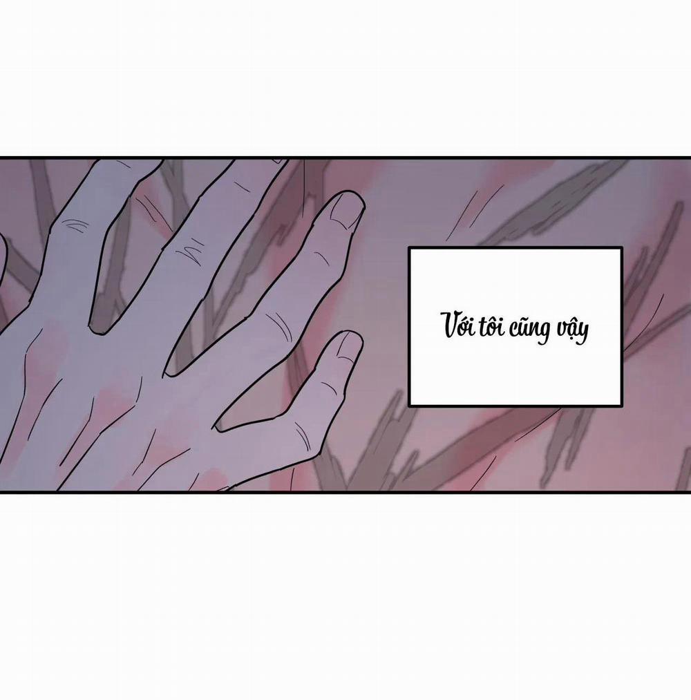 Cây Không Có Rễ 26 trang 93