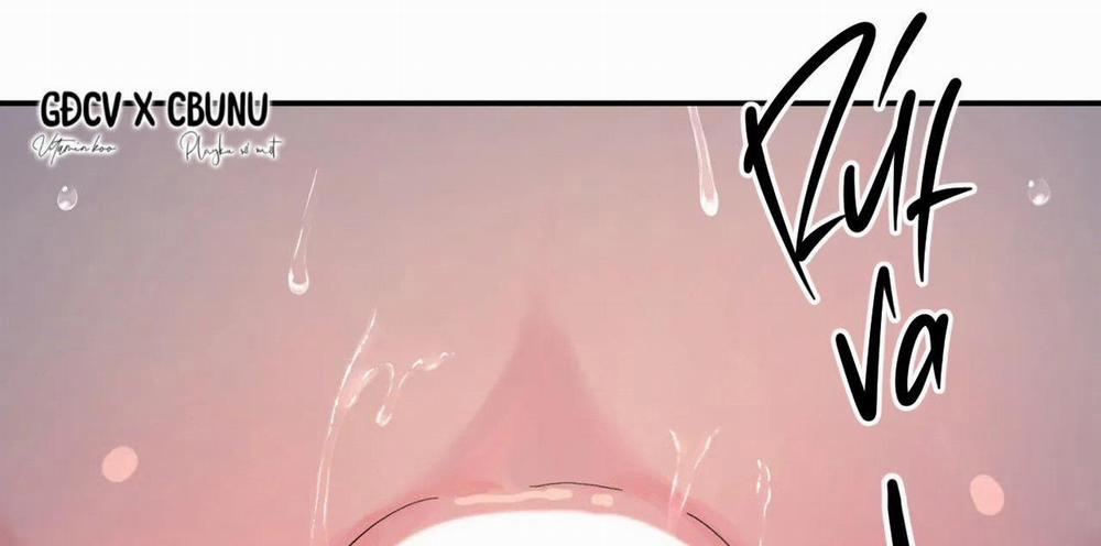 Cây Không Có Rễ 31 trang 13