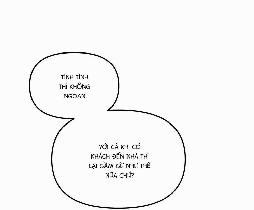 Cây Không Có Rễ 35 trang 47