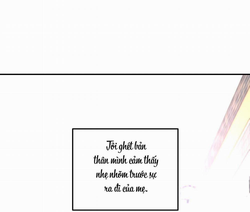 Cây Không Có Rễ 37 trang 28