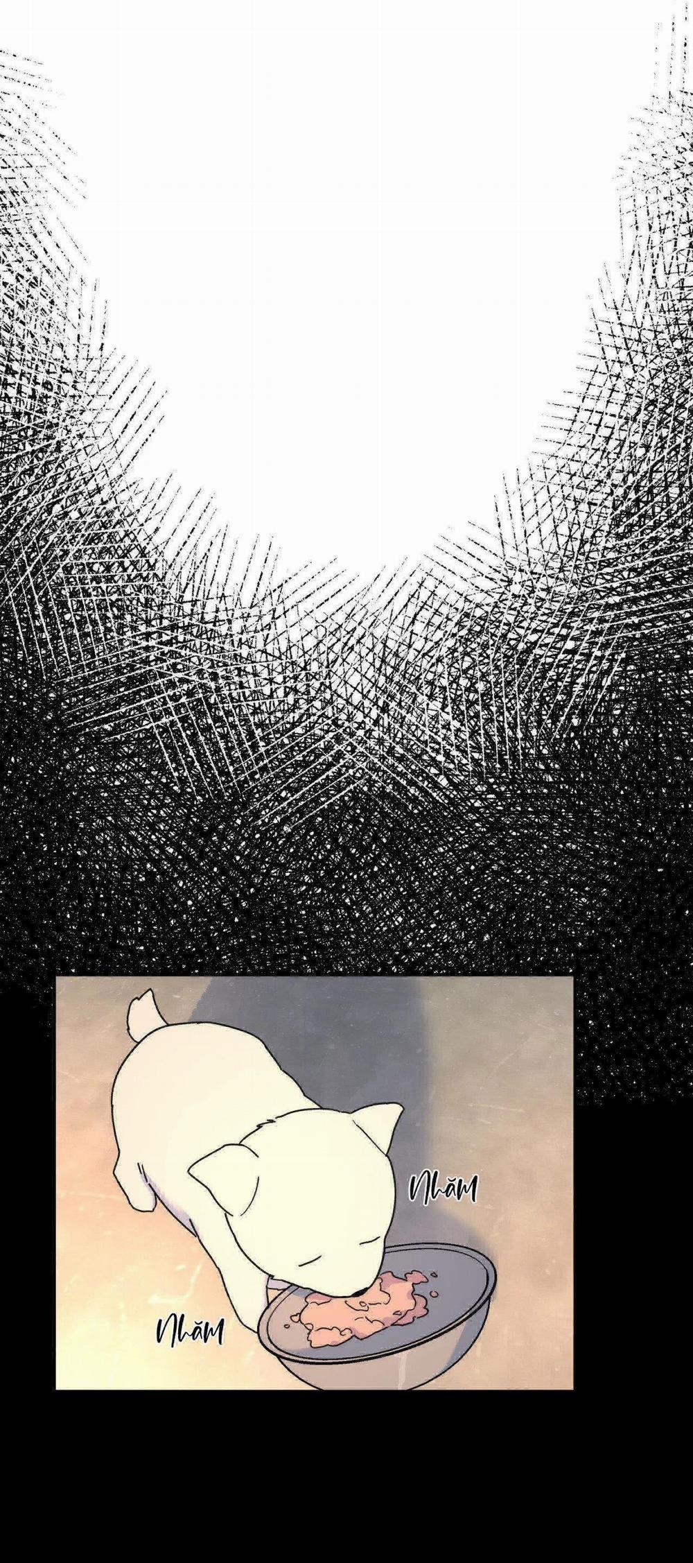 Cây Không Có Rễ 38 trang 33