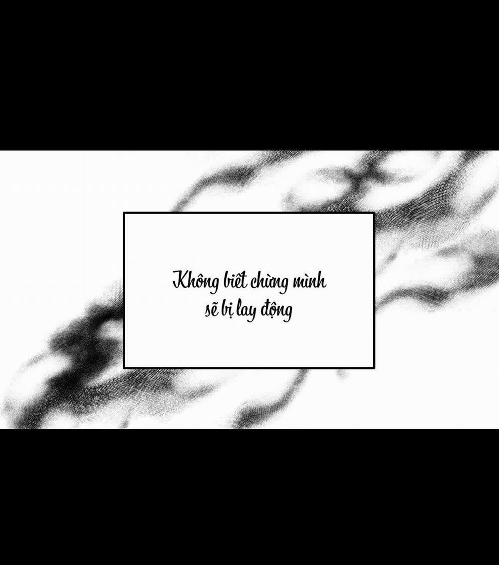 Cây Không Có Rễ 40 trang 3