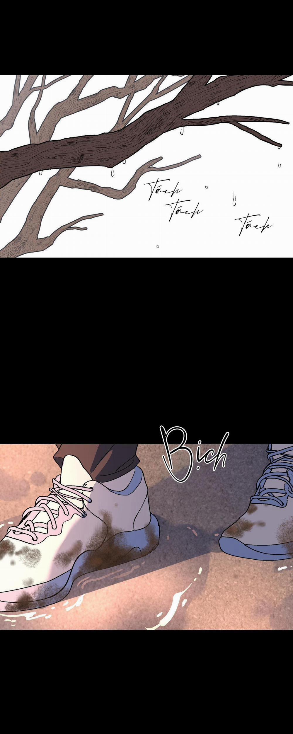 Cây Không Có Rễ 48 trang 23