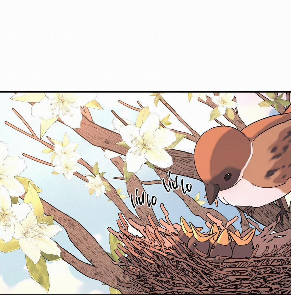 Cây Không Có Rễ 49 trang 57