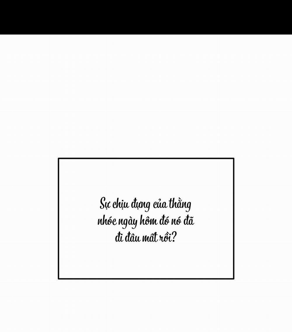 Cây Không Có Rễ 50 trang 15