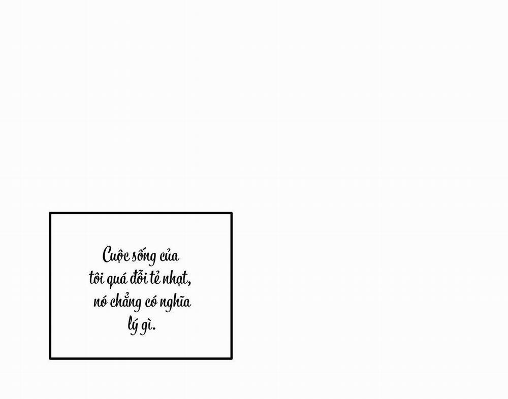 Cây Không Có Rễ 50 trang 67