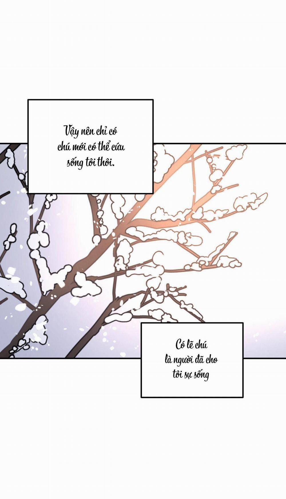 Cây Không Có Rễ 50 trang 73