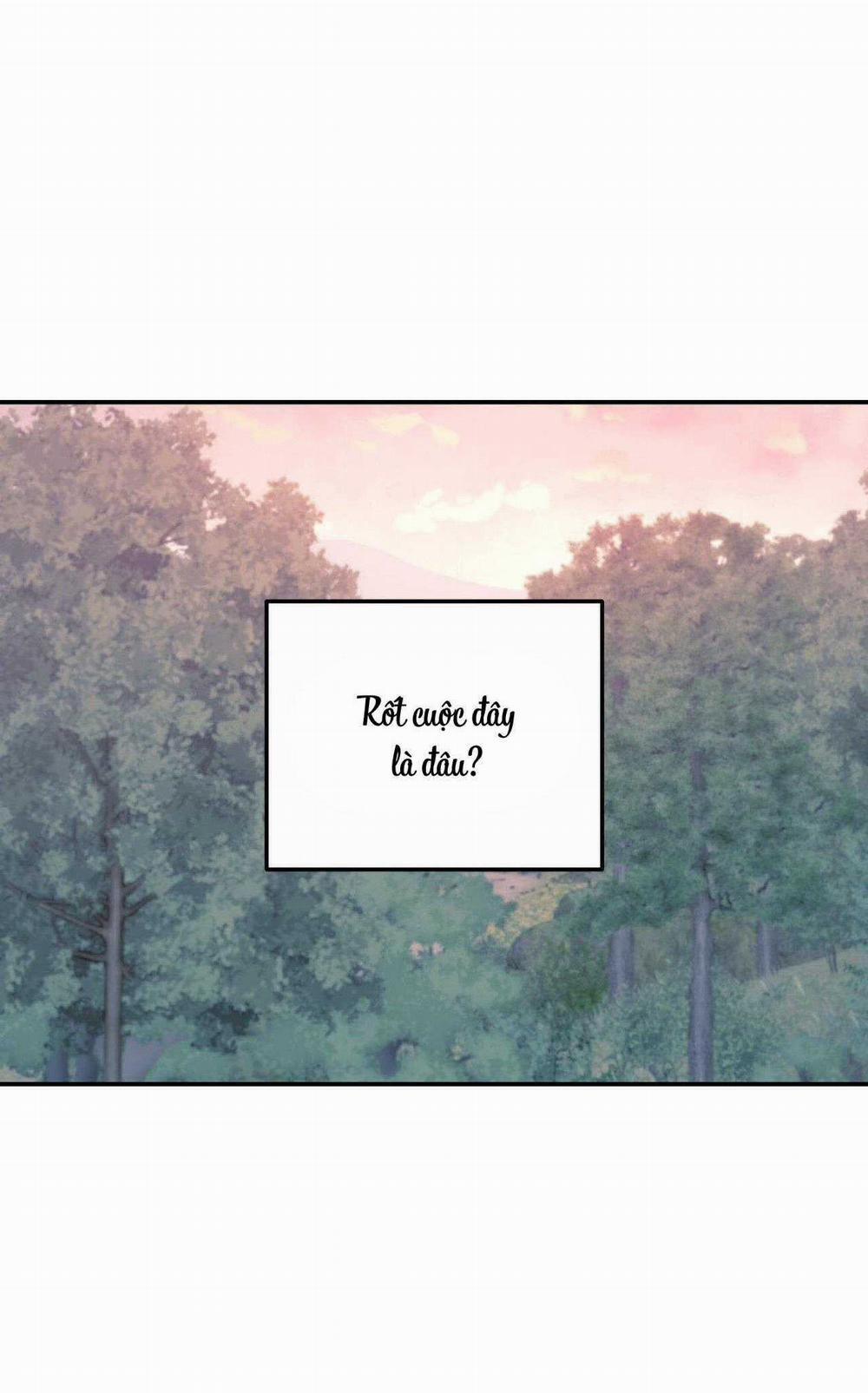 Cây Không Có Rễ 54 trang 2