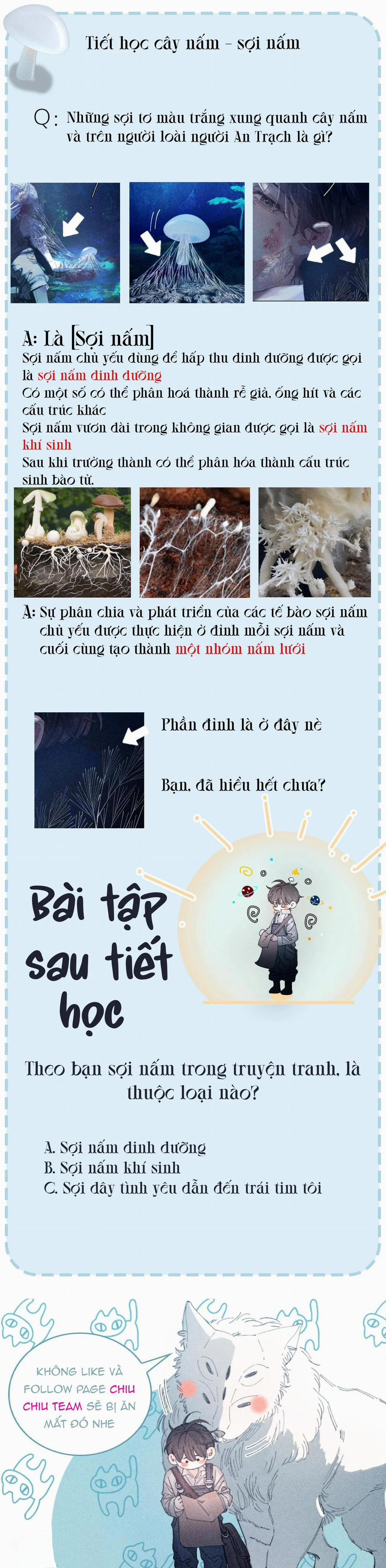 Cây Nấm Nhỏ 1.2 trang 14