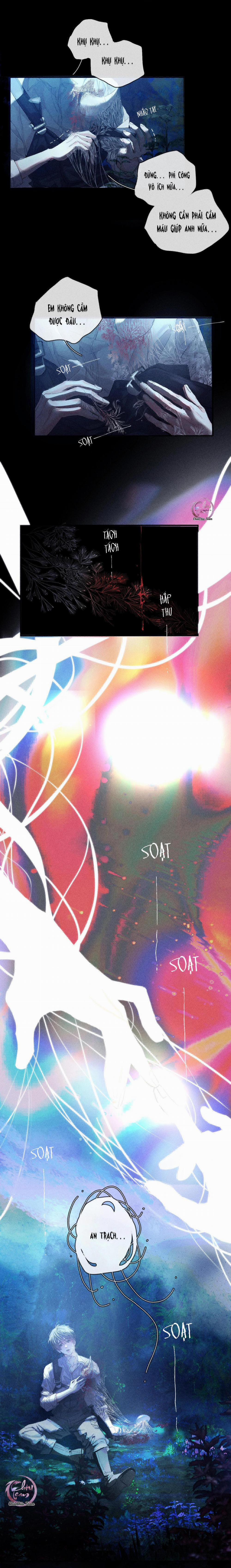 Cây Nấm Nhỏ 1.2 trang 4