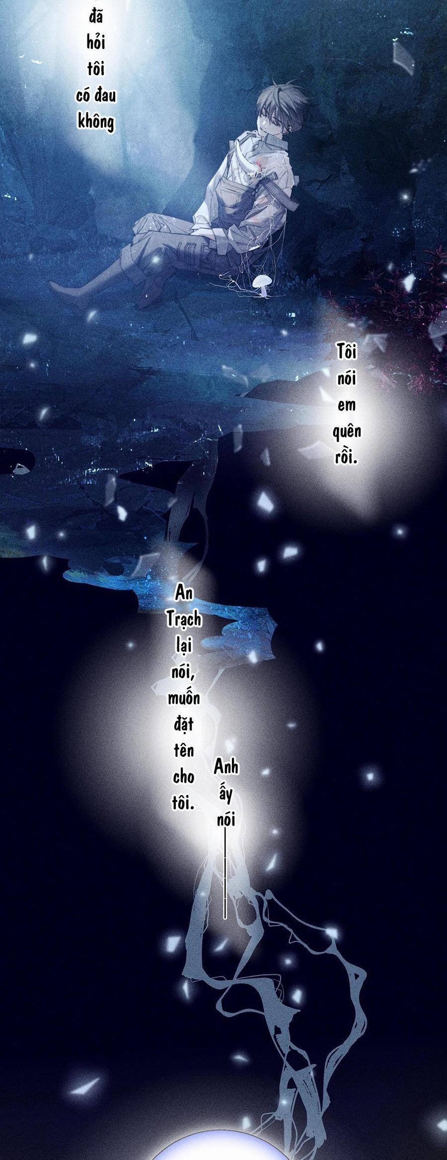 Cây Nấm Nhỏ 10 NGANG RAW trang 11