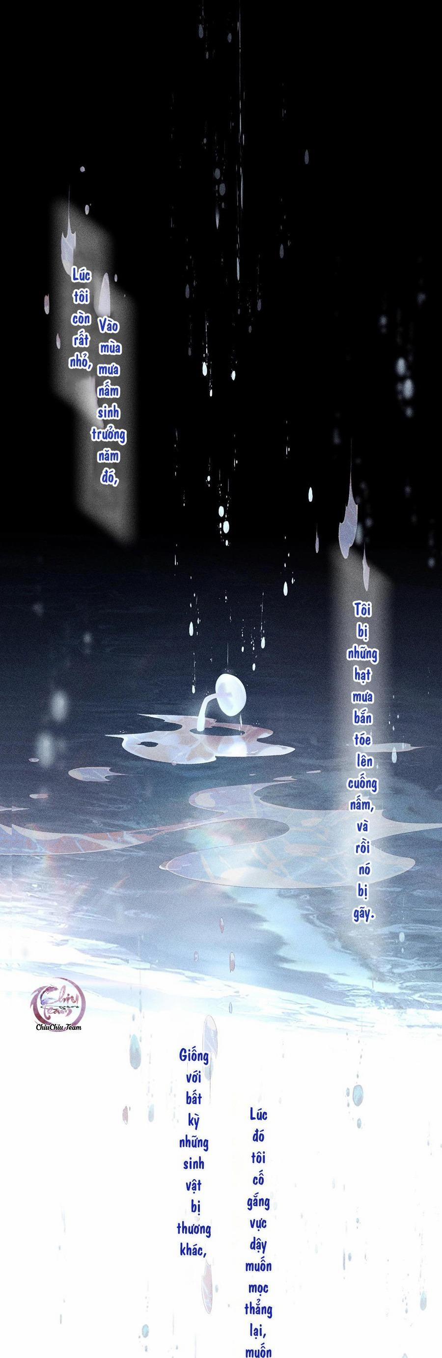 Cây Nấm Nhỏ 10 NGANG RAW trang 8