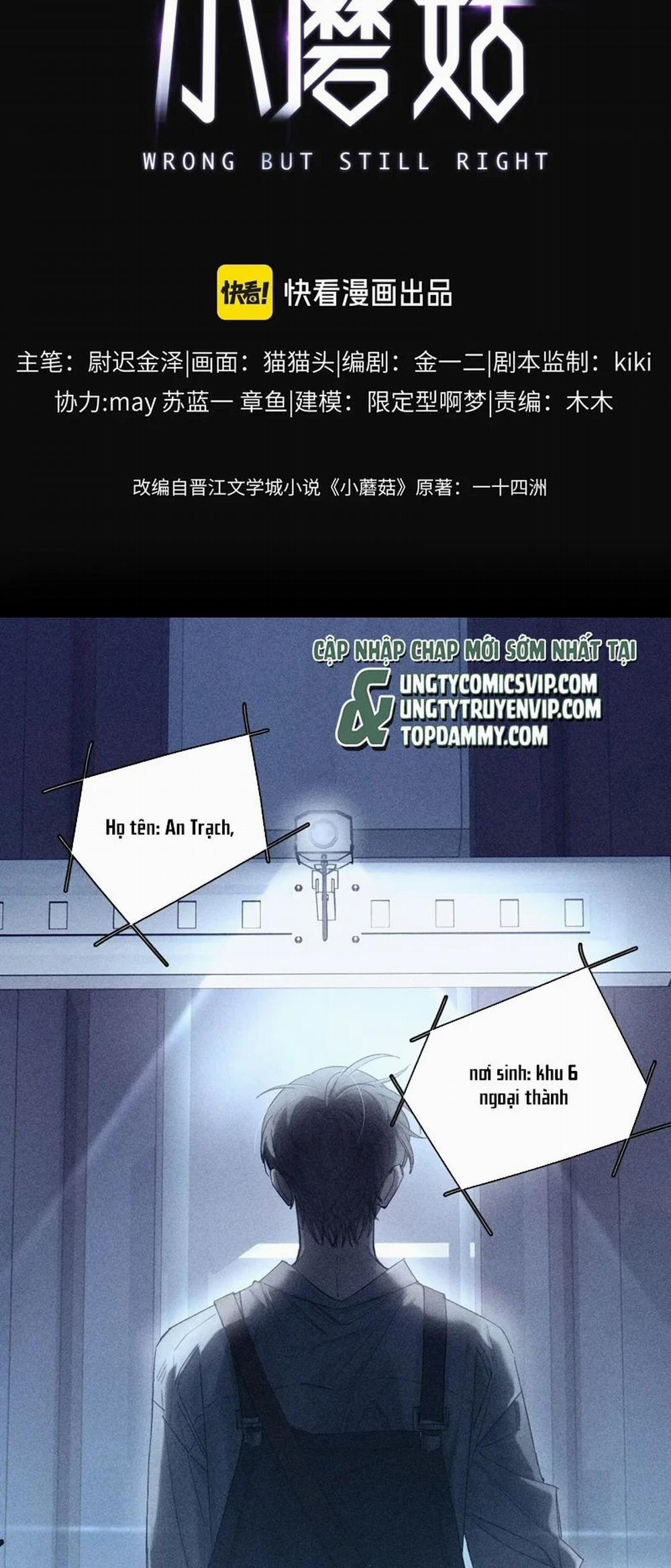 Cây Nấm Nhỏ 10 trang 4