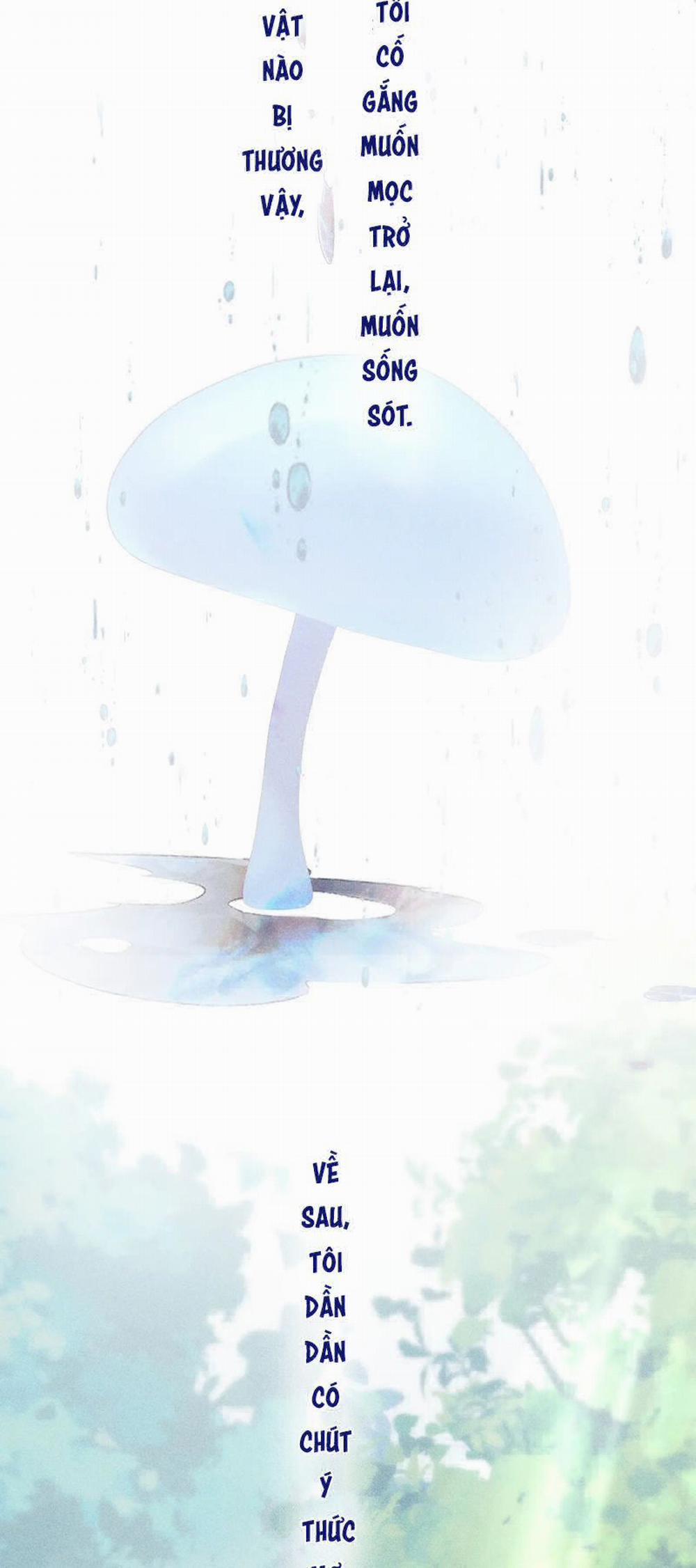 Cây Nấm Nhỏ 11 trang 10