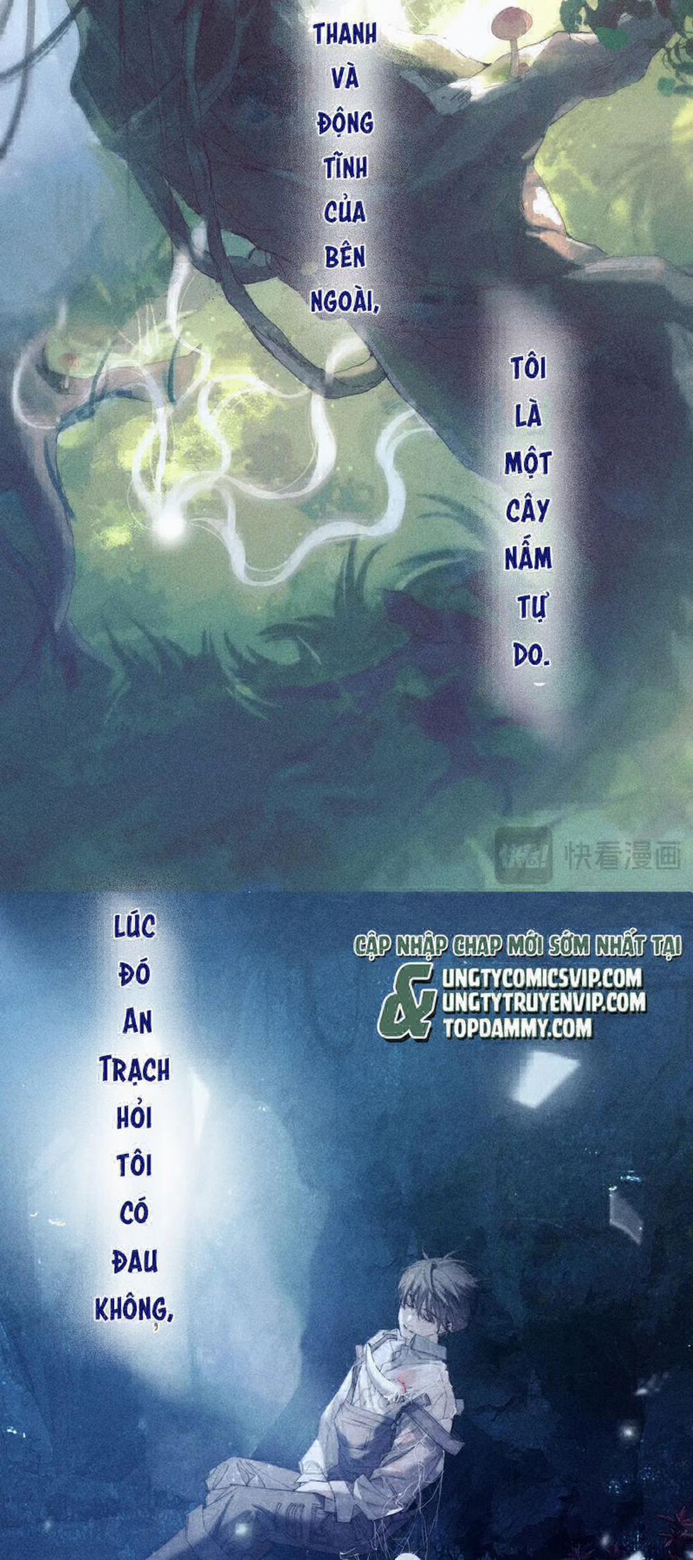 Cây Nấm Nhỏ 11 trang 12