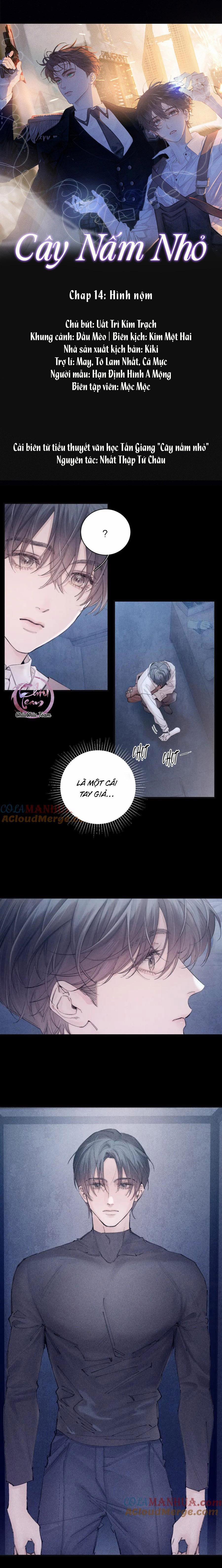 Cây Nấm Nhỏ 14 NGANG RAW trang 0