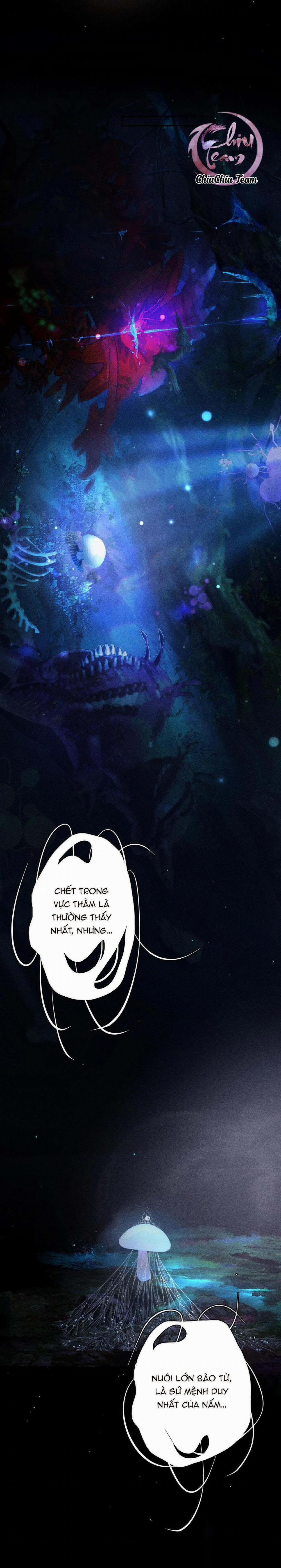 Cây Nấm Nhỏ 2 trang 4