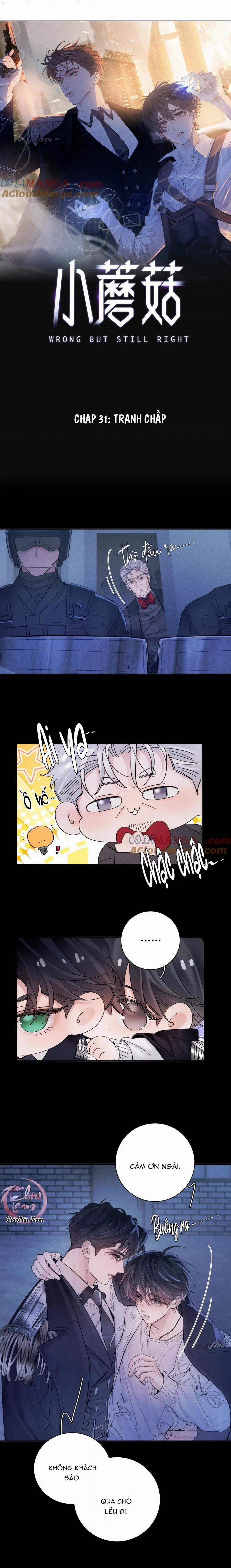 Cây Nấm Nhỏ 31 trang 0