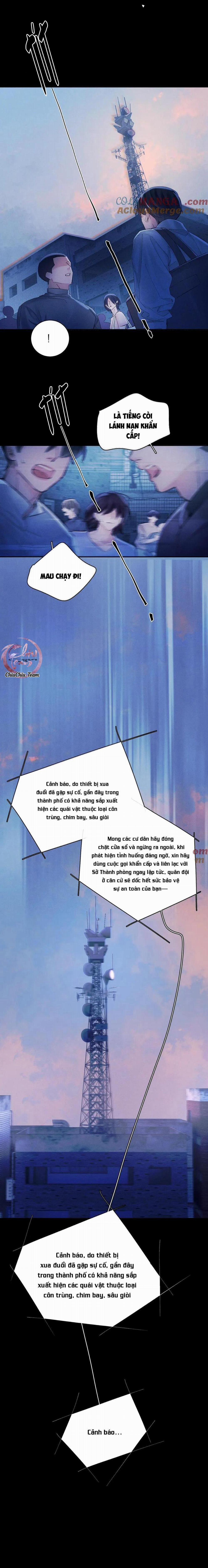 Cây Nấm Nhỏ 31 trang 11