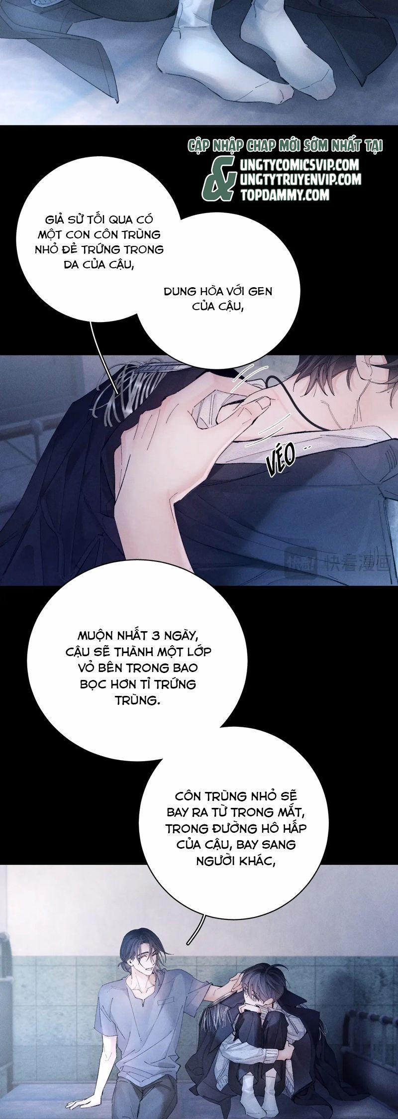 Cây Nấm Nhỏ 34 trang 5