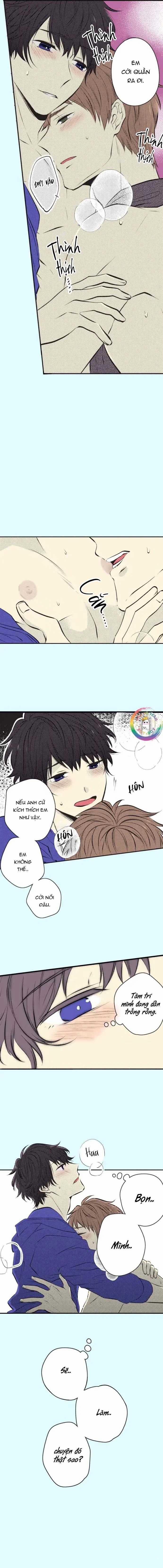 Cây Nhỏ Và Mùa Xuân Thân Yêu 35 trang 11