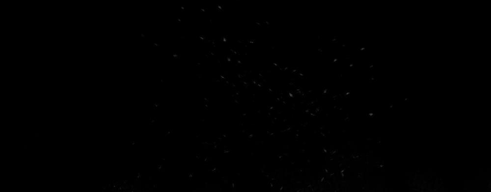 (CBunu) Ám Giữ Linh Hồn 46 Đã bổ sung trang 1