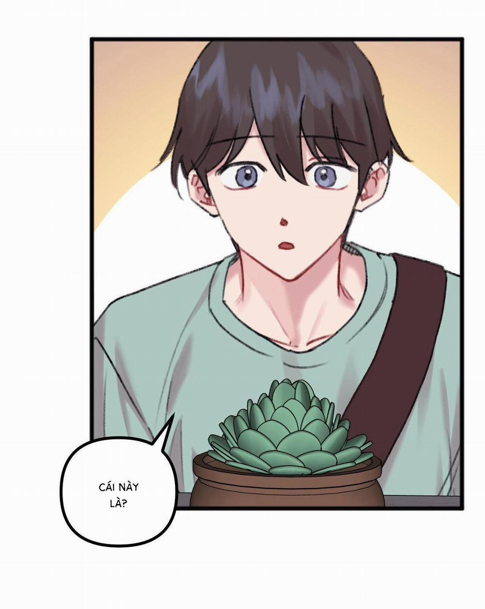 (Cbunu) Anh Thật Sự Thích Em Sao 21 H+ trang 3