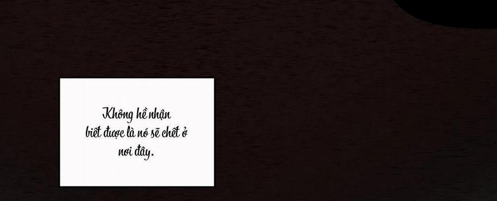 (Cbunu) Bẫy Đôi Ngọt Ngào 43 trang 33