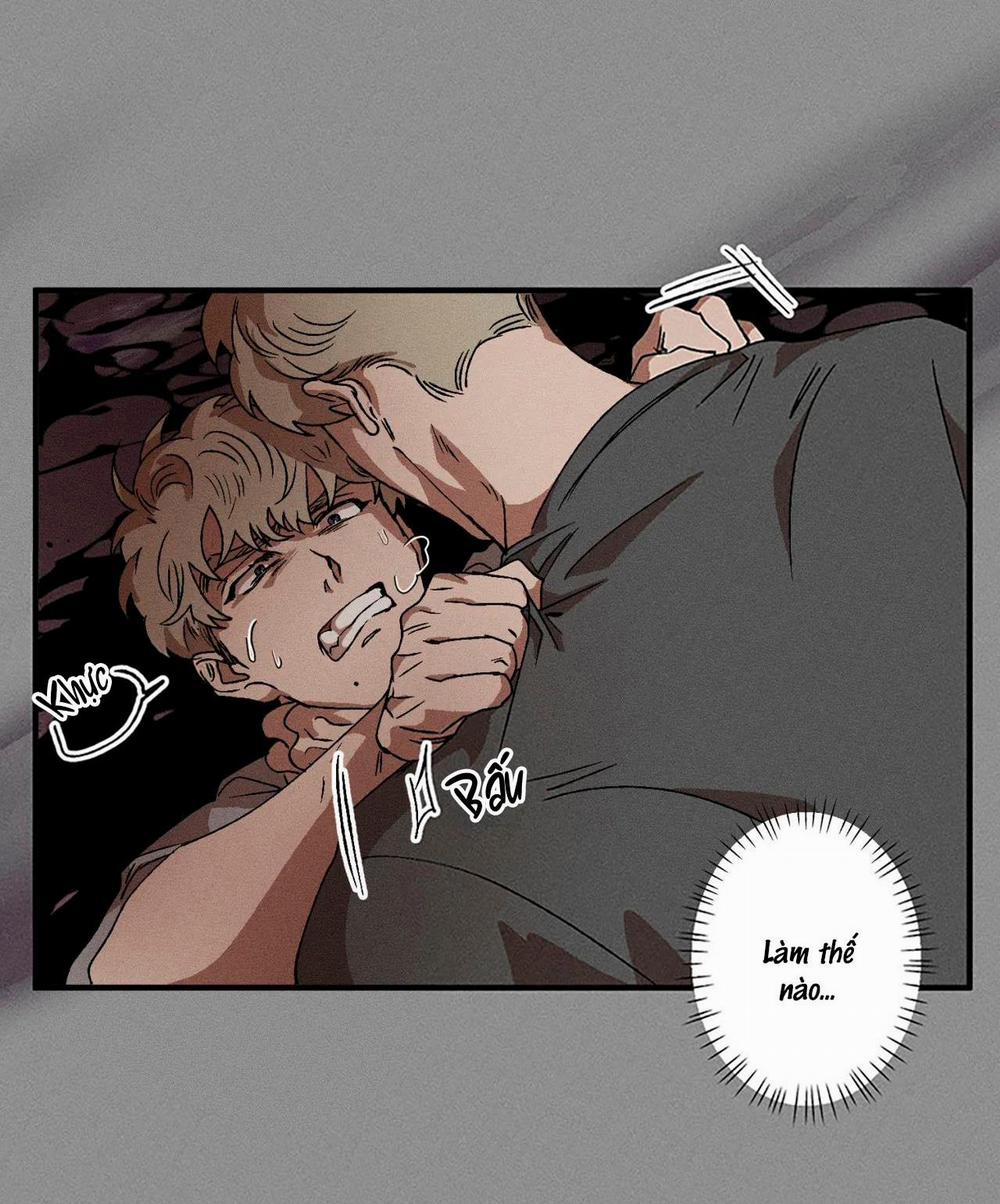 (Cbunu) Bẫy Đôi Ngọt Ngào 44 trang 28