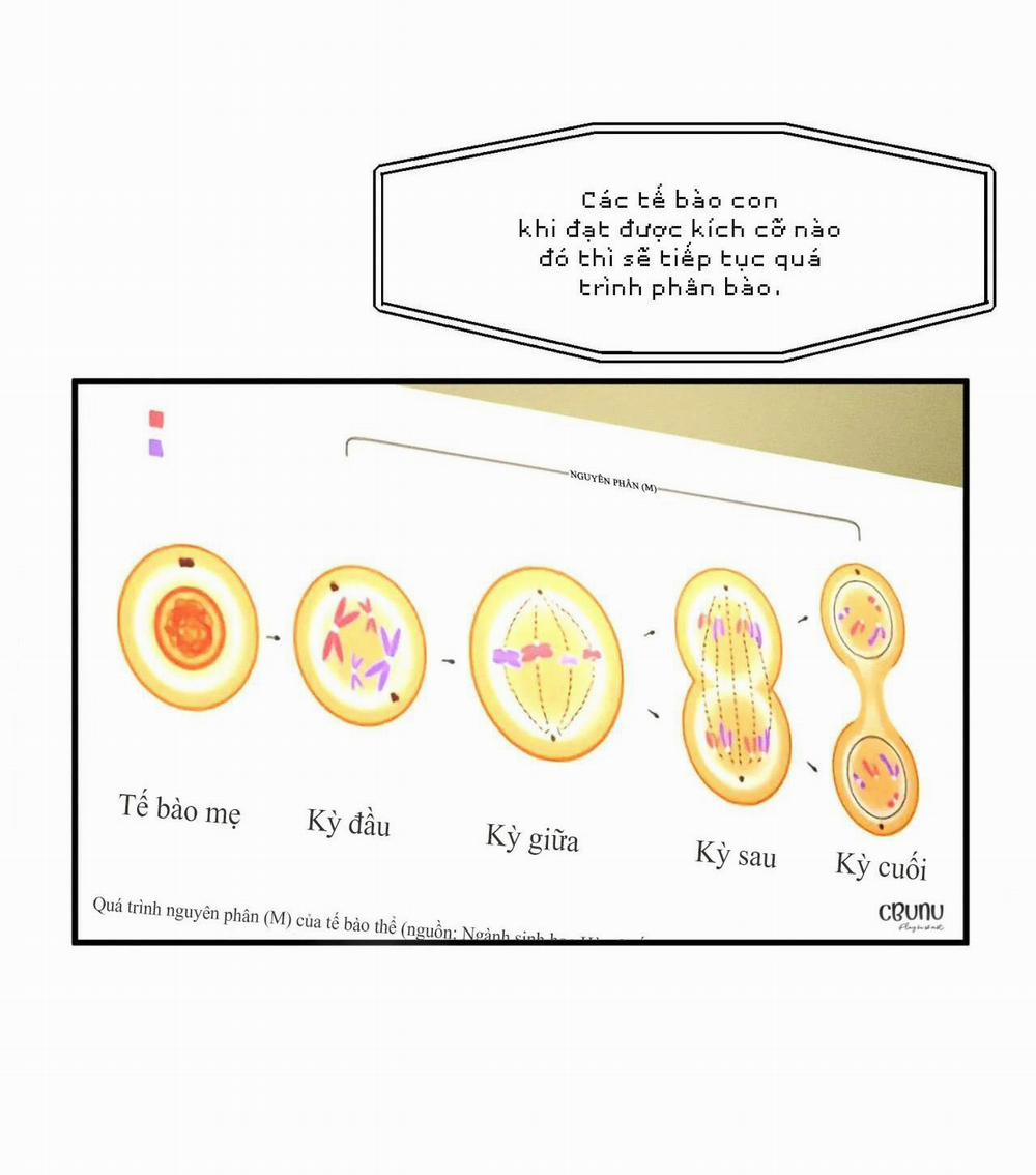 (Cbunu) Bẫy Đôi Ngọt Ngào 9 trang 34