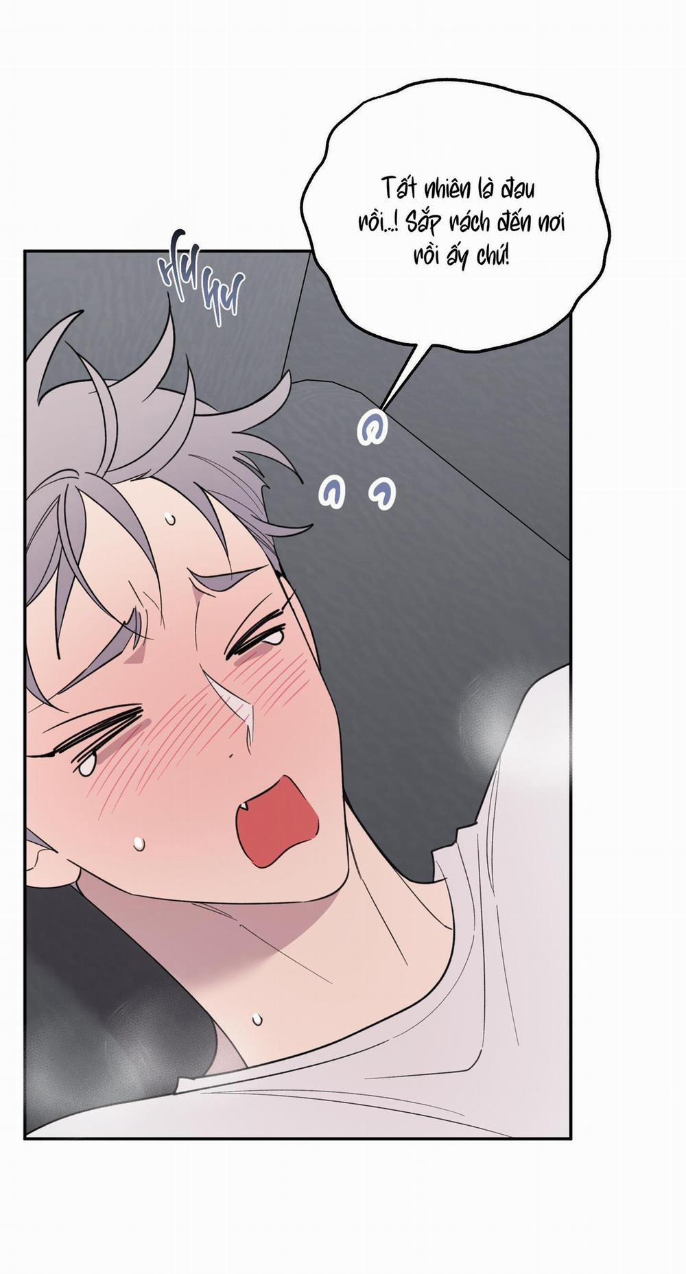 (Cbunu) Carrot And Stick 12 H+ trang 38