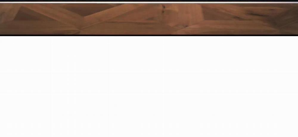 (Cbunu) Cây Không Có Rễ 13 trang 14