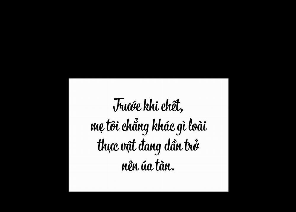 (Cbunu) Cây Không Có Rễ 25 trang 56