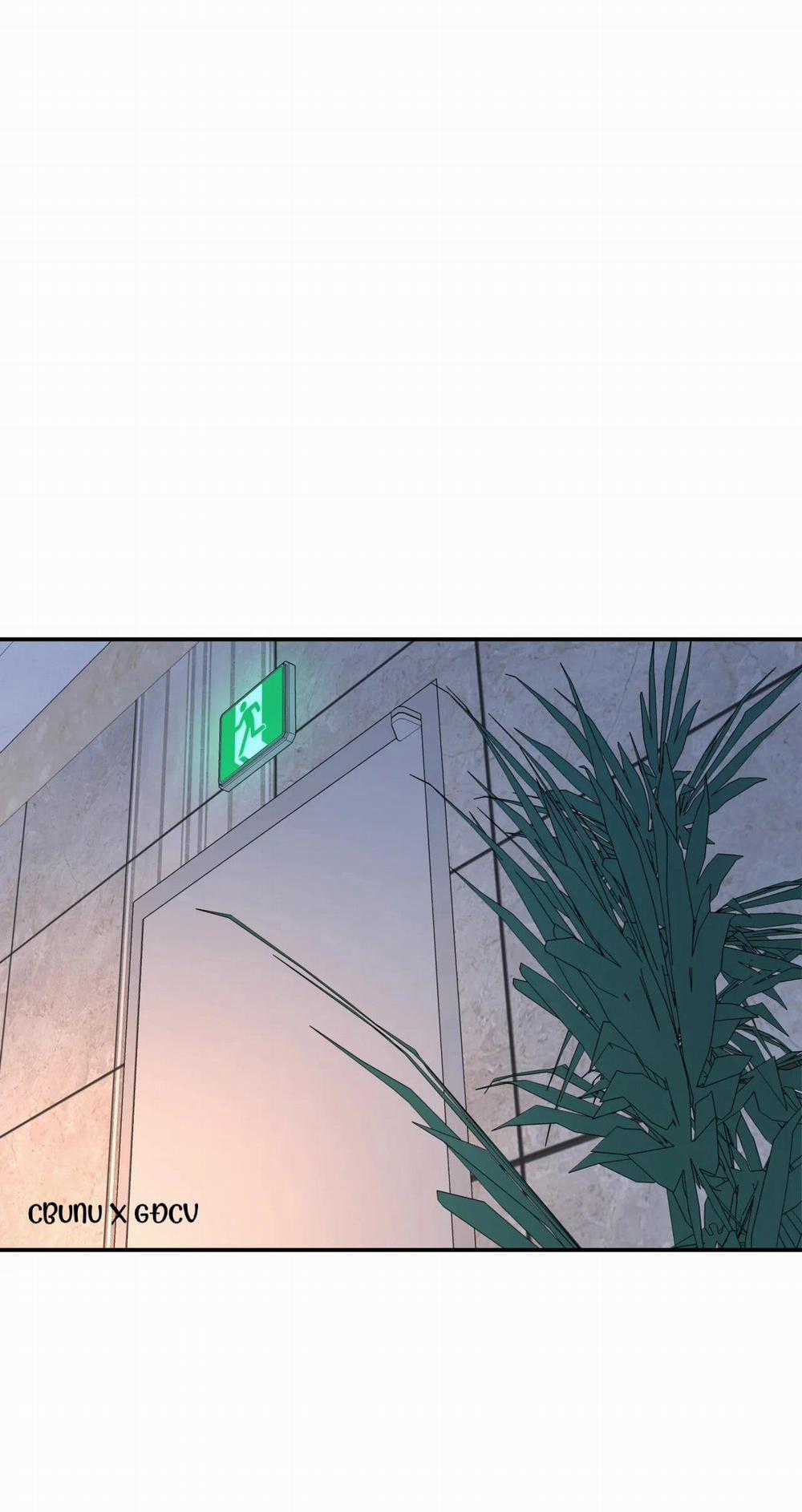 (Cbunu) Cây Không Có Rễ 27 trang 46