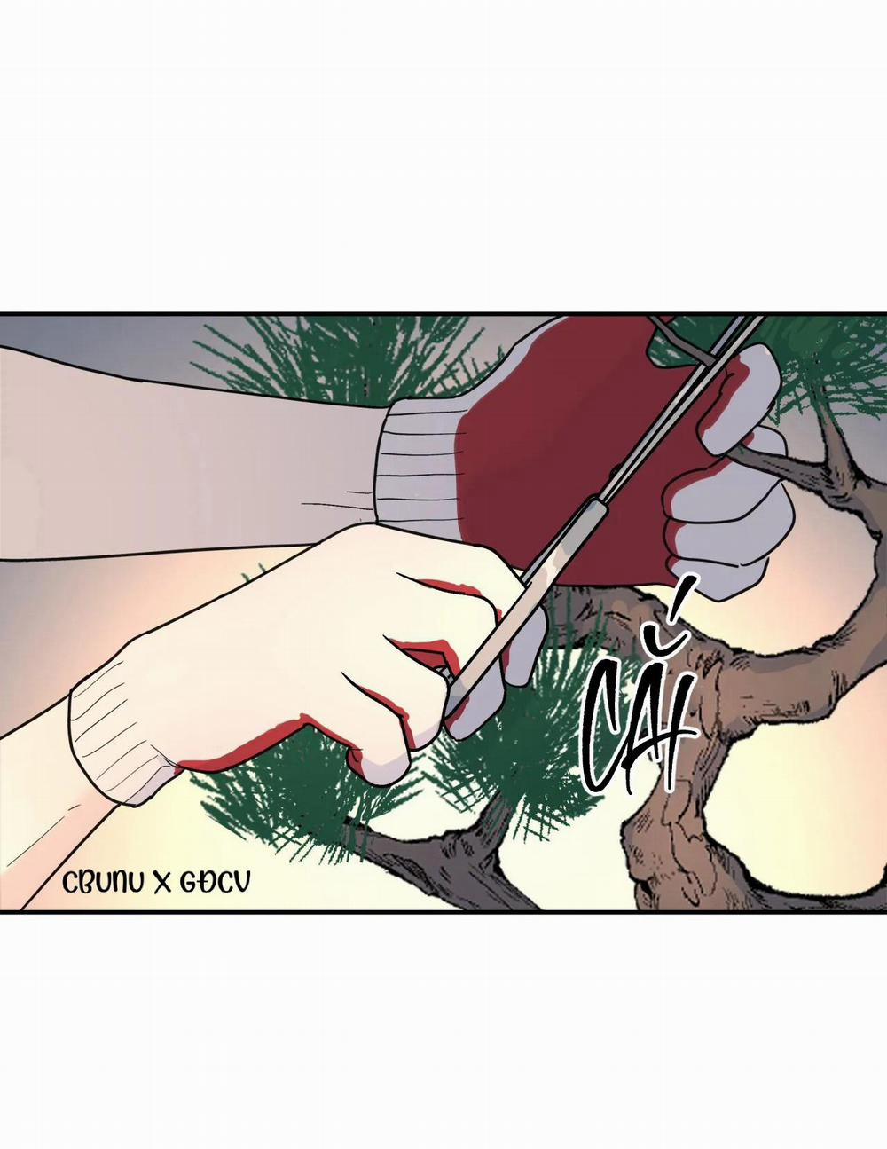 (Cbunu) Cây Không Có Rễ 27 trang 76