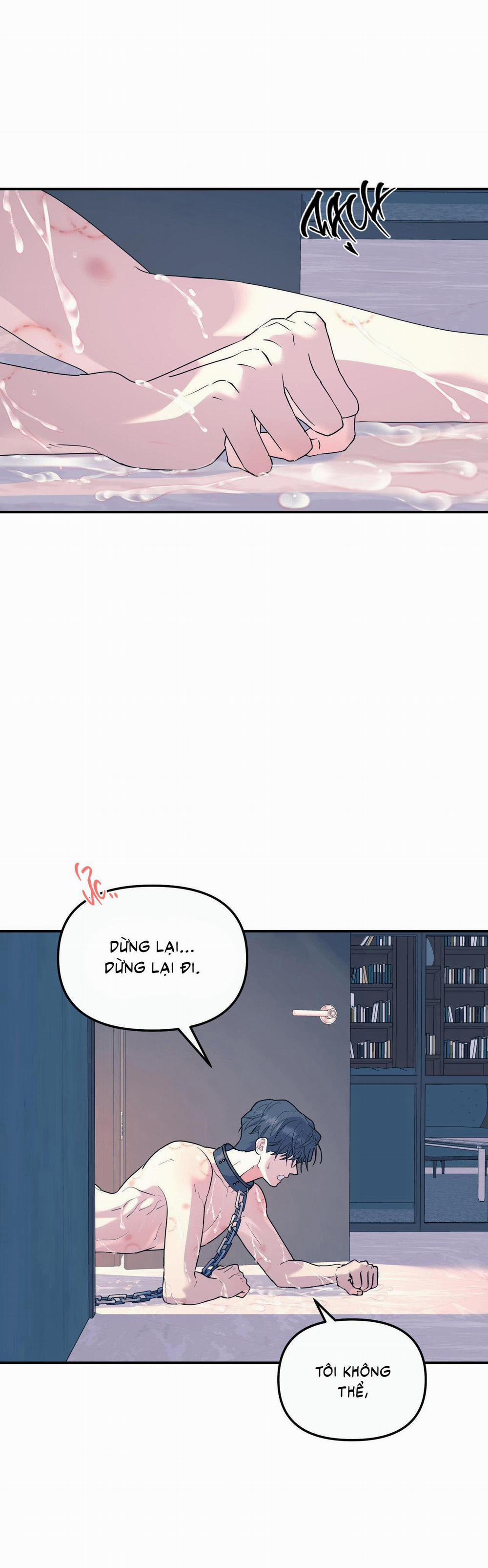 (Cbunu) Cây Không Có Rễ 56 H+ trang 14