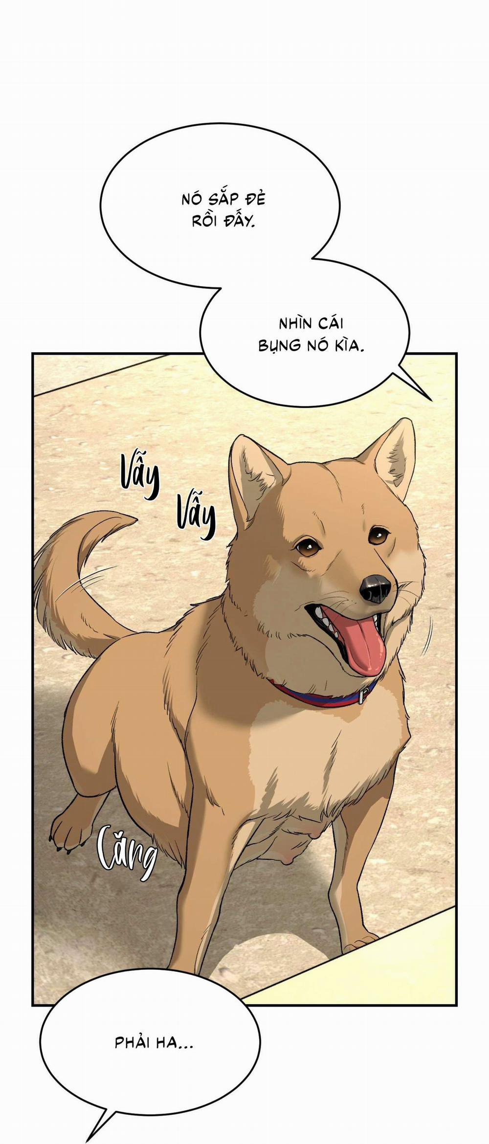 (Cbunu) Chinhx - Vận Xui 57 trang 36