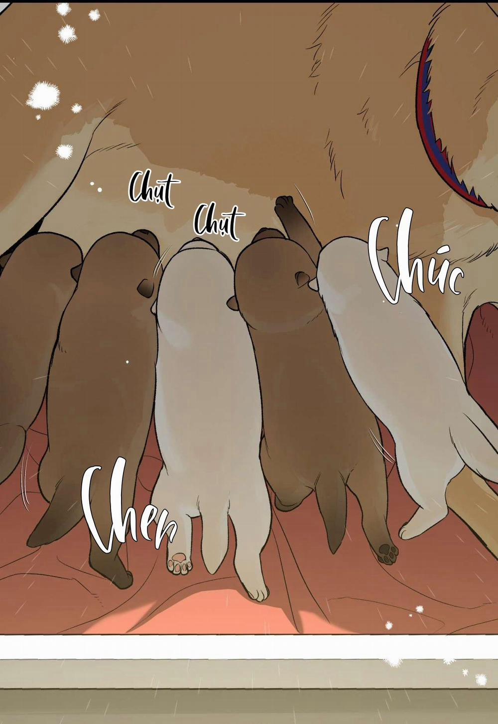 (Cbunu) Chinhx - Vận Xui 57 trang 97