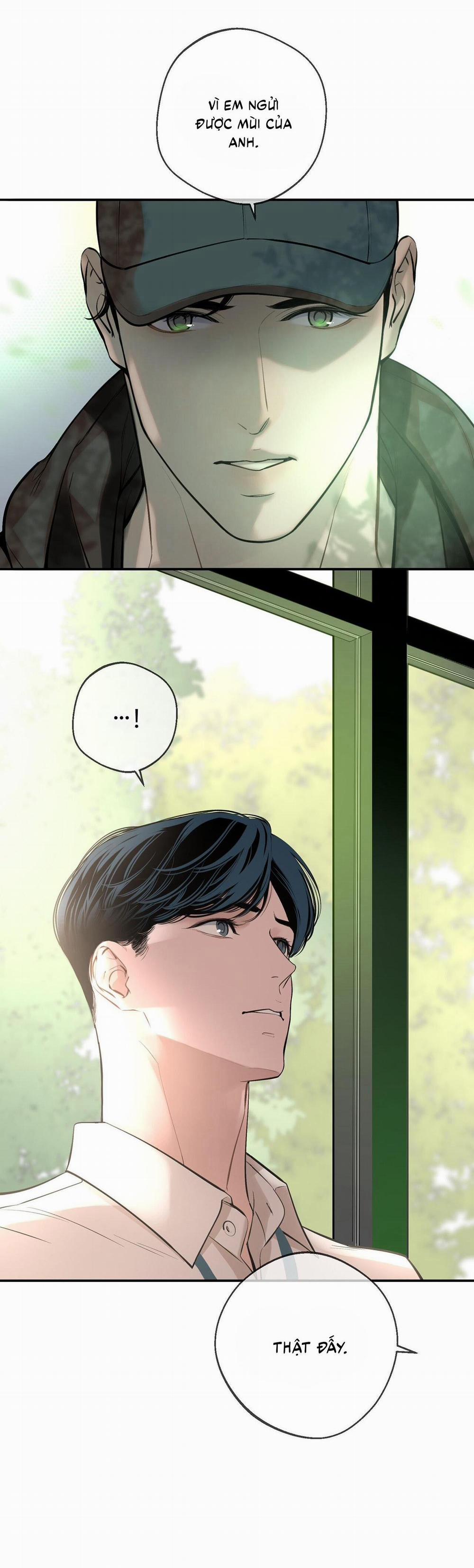 (Cbunu) Cú Dash 8 trang 36