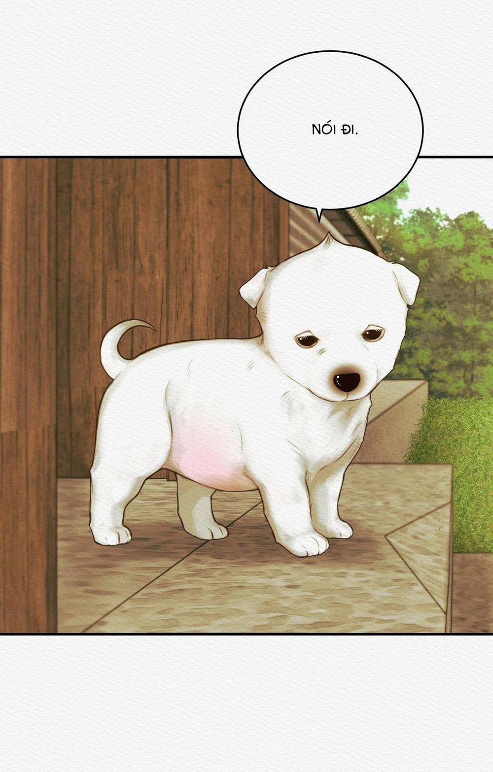 (Cbunu) Củy Dạ Khút 51 trang 81