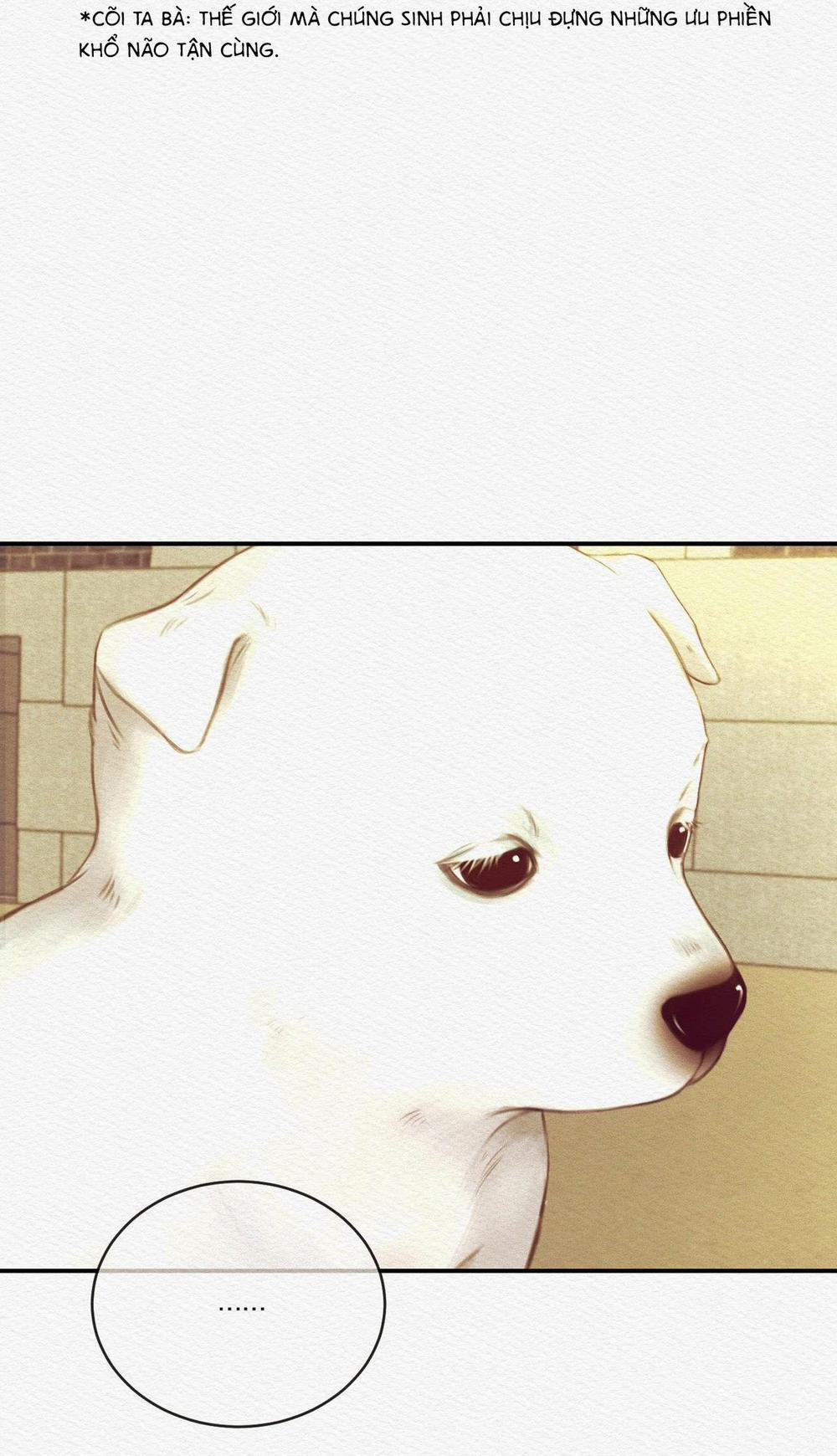 (Cbunu) Củy Dạ Khút 61 trang 19