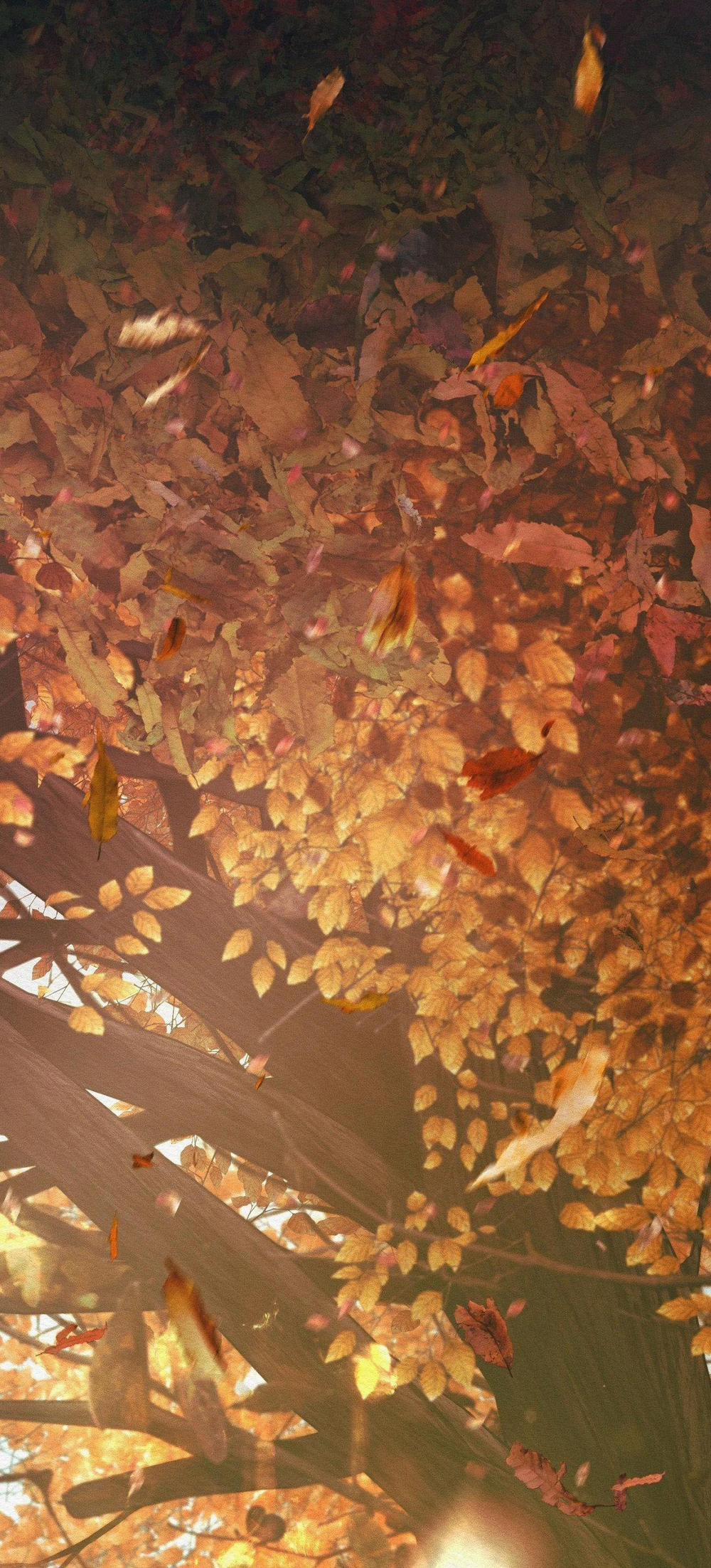 (Cbunu) Củy Dạ Khút 63 trang 3