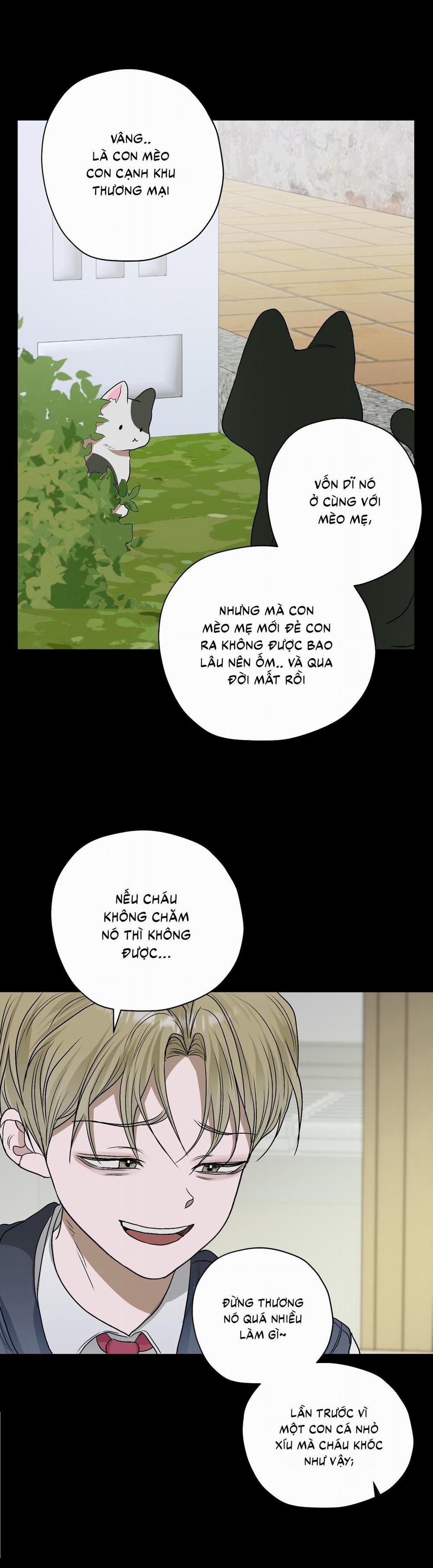 (Cbunu) Đầm Sen Héo Úa 25 0 trang 35