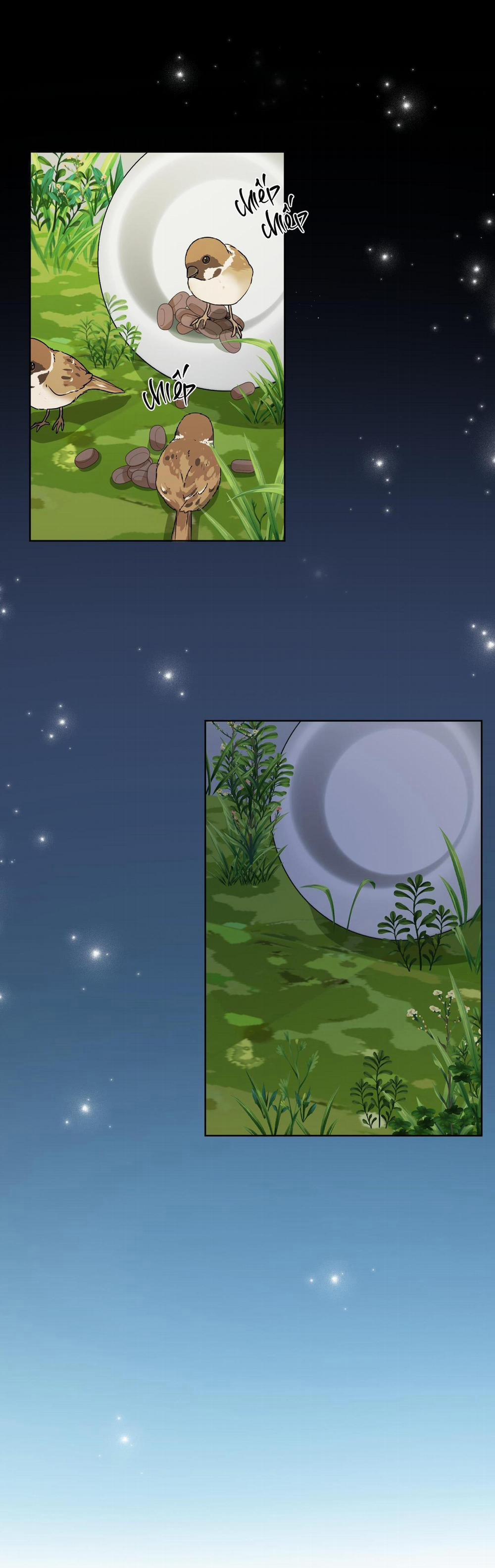 (Cbunu) Đầm Sen Héo Úa 26 trang 13