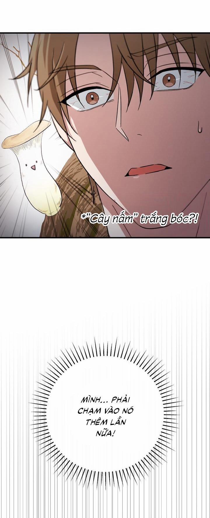 (Cbunu) Dẻo Dai Và Mềm Mại 0 0 trang 33